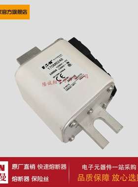 熔断器170M6248 170M6249 170M6250 170M6251 170M3408 170M3409