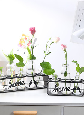 水培绿植摆件北欧铁艺玻璃花瓶植物摆饰办公室家U居房间插花装饰