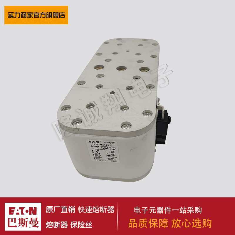 熔断器170M7260 170M7481 170M7489 170M7491 170M7499 170M7500