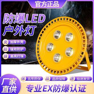 led防爆灯隧道灯低压12v24v36v加油站仓库厂房投光灯220v50w100w