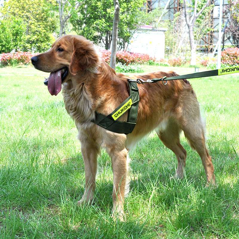 狗狗胸背带宠物牵引绳套装中大型犬胸背带狗链/狗绳子