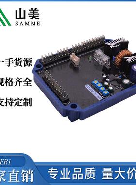 交流发电机稳压器发电机数字AVR DER1
