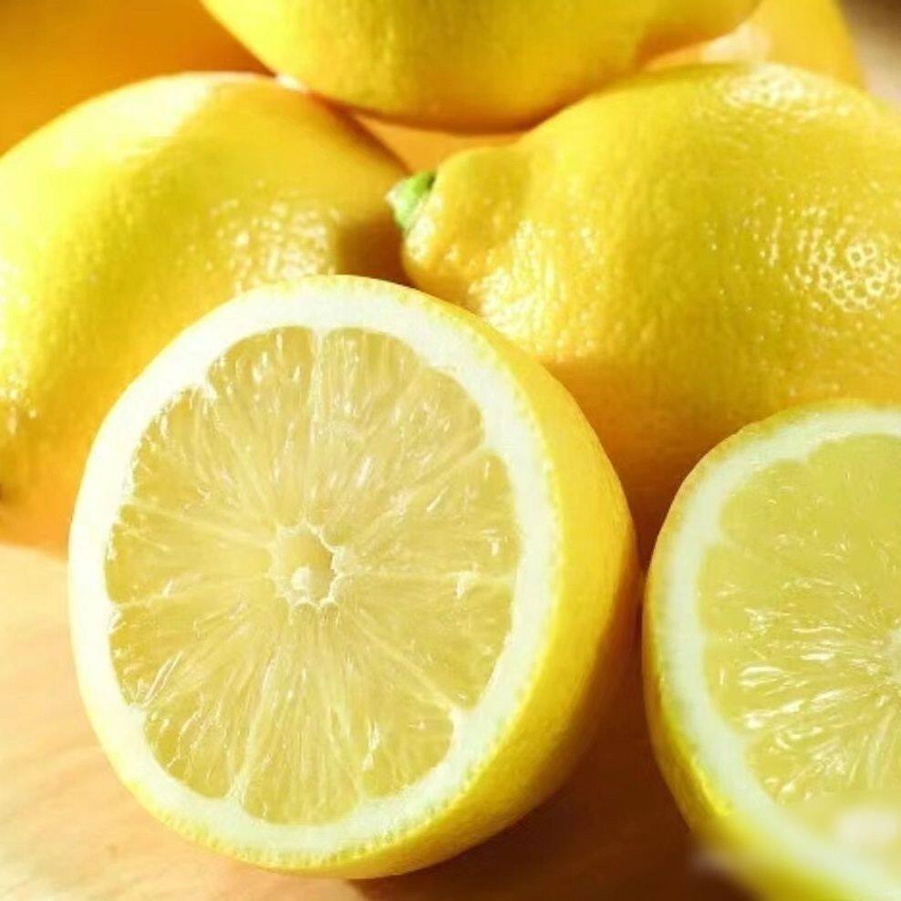 广东新鲜柠檬现摘黄柠檬装当季黄皮柠檬新鲜清热香水柠非安岳柠檬