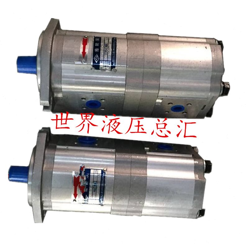 0K1 江K1K1长CC机械0025B02016齿轮泵BCCB配件 四川K114B齿轮泵