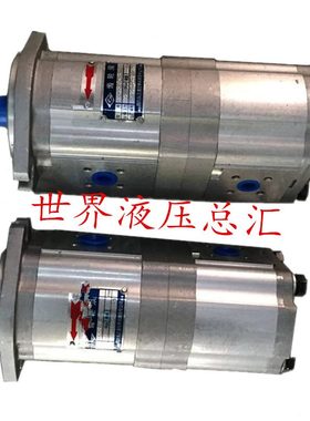 0K1 江K1K1长CC机械0025B02016齿轮泵BCCB配件 四川K114B齿轮泵