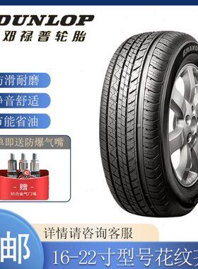 5 2255518R1765 2719  552670    2823215邓禄普轮胎50 20  /60