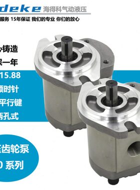 P206T 8//214921DP200/D131216RPRPT224齿轮油泵023//225//212/1