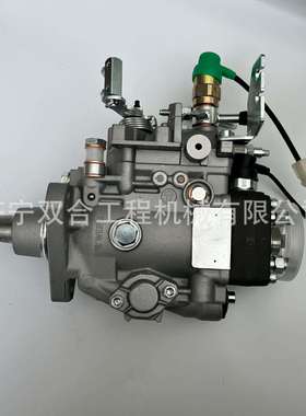 发动机VE柴油泵 0460424560 VE4/12F1150L1226 22100-1C320