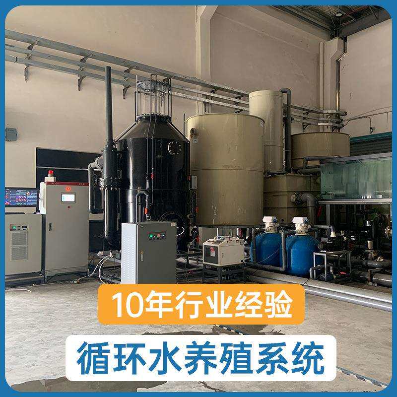 厂家直供鱼苗虾苗水产养殖工程设计室内户外工厂式大型循环水系统