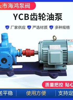 YCB圆弧齿轮泵 厂家供应ycb10化工圆弧齿轮泵 卧式铸铁齿轮泵