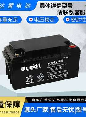 weida威达蓄电池HX12V100 7 17 24 38 40 65 120AH机房直流屏专用