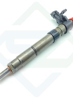 XF X250 2.2D 11 to 15 224DT 柴油喷油嘴 9687454480 1103309