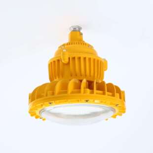 led隔爆型防水防尘防腐30W40W50W60W防爆led平台灯护栏法兰弯杆灯