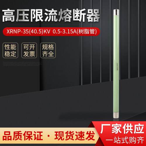 XRNP1-12kv高压24限流35熔断器20保险40.5互感PT丝管10A8A6.3A4A7