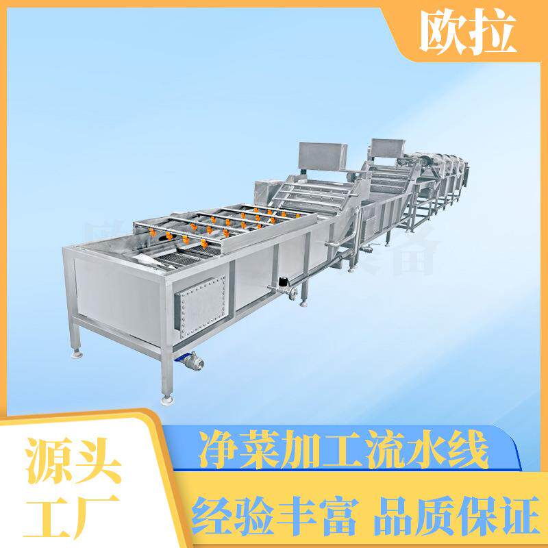 葡萄干高压喷淋清洗流水线 商用全自动洗菜机 鱼虾海鲜气泡清洗机