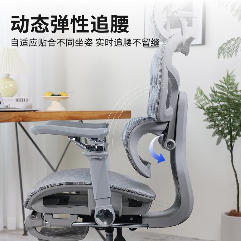 赛谷人体工学椅子电脑椅家用舒适久坐办公座椅学习椅电竞椅会议椅