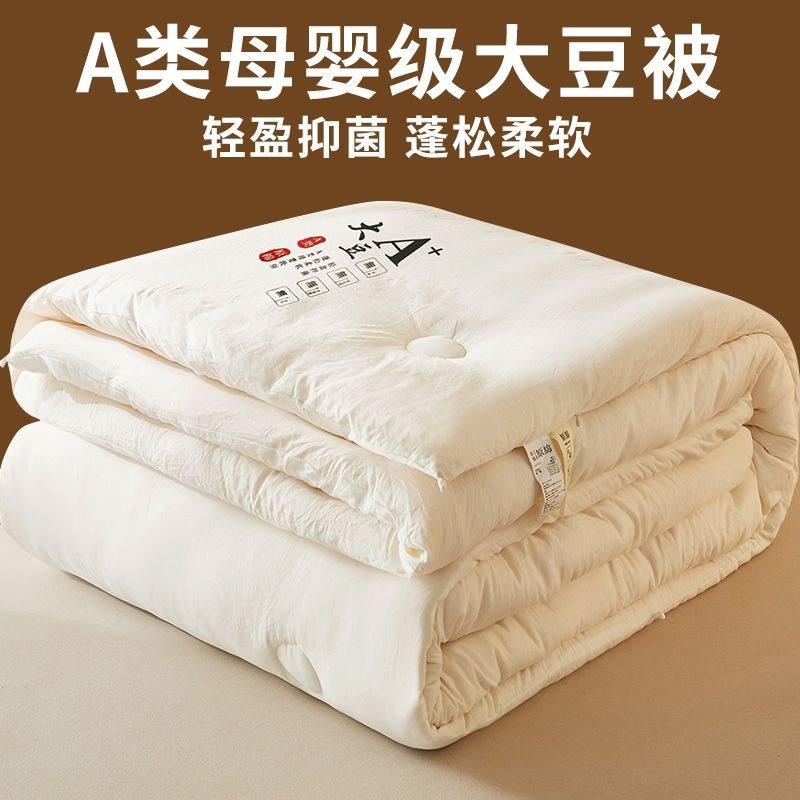类大豆被子母被春秋棉被芯学生宿舍春夏加厚保暖单双人床品
