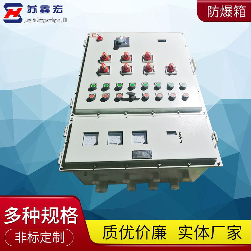 防爆动力配电箱 成套不锈钢电源仪表照明控制箱 动力电气仪表箱