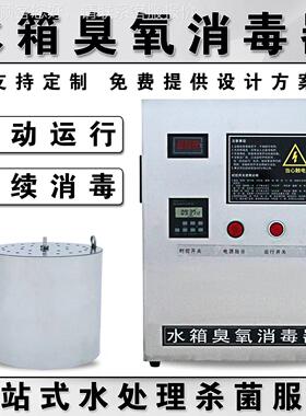 水2自洁消毒器-内置式wtsa水塔供水箱设备臭氧BVN杀菌内电解消毒