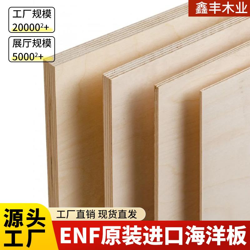 进口全桦木海洋板一手现货直发整板胶合木板环保防潮多种规格