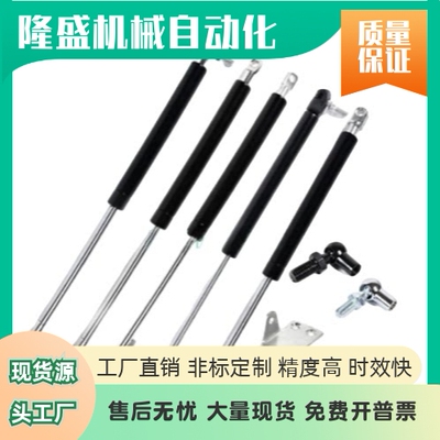 氮气汽弹簧支撑杆GSS1