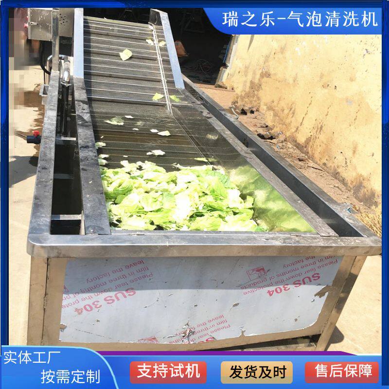 供应野菌菇气泡清洗机 花生芽清洗机 连续式酸菜清洗脱盐设备