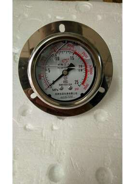 耐震压力表 轴向带边 YN100ZT 60KG 800PSI 3/8螺纹