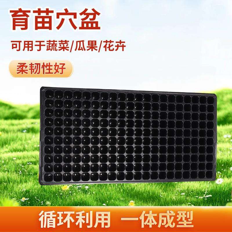 供应育苗盘穴盘托盘pvc种植花卉多肉园艺阳台菜园黑色加厚育苗盘