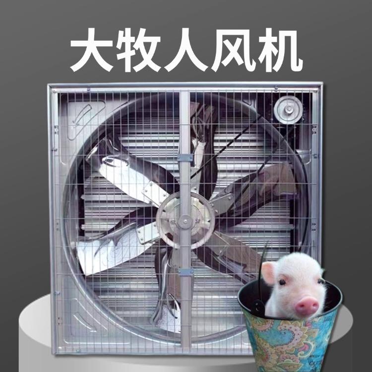大牧人风机养殖场畜牧降温除尘大风量负压风机工业级换气设备