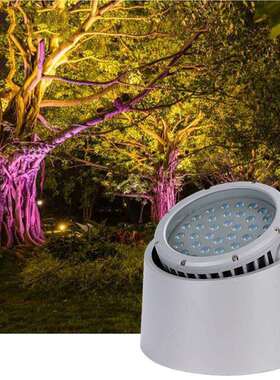 LED七彩变色投光灯户外防水投射灯DMX512外控RGBW48W54W72W照树灯