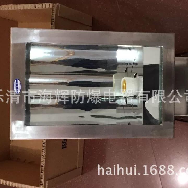 一体式不锈钢防爆防腐泛光灯BAT53-L400