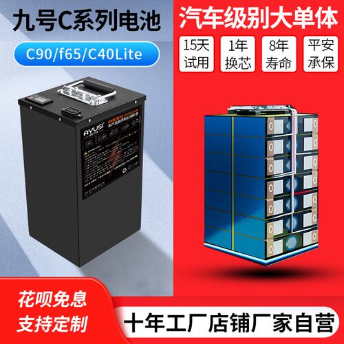 适用于九号电动车c90锂电池新C系C40/C65Lite C65大容量48v 直上