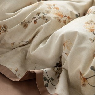 巷子戏法 100S纯棉全棉磨毛四件套A类简约床单被套床上用品秋冬