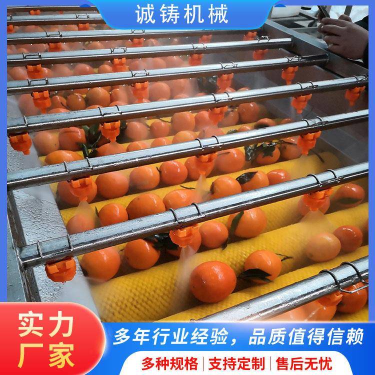 全自动果蔬清洗机耙耙柑气泡毛刷洗果线柠檬柑桔平行毛辊清洗机