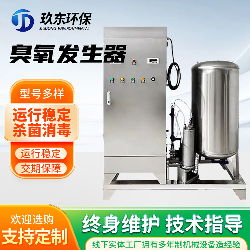 小型臭氧发生器 厂家工业级污水处理臭氧机净化设备脱色化工使用