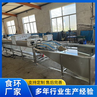全自动洗蛋机 保洁蛋洗蛋机大型清洗机风干光检流水线鸡蛋分级机