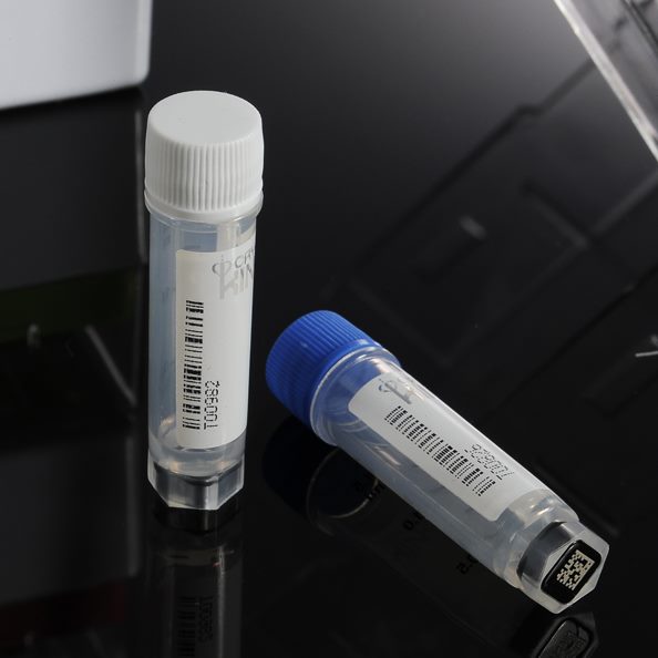 5m书管40l包合巴新款边罗一外旋冻存25个写区箱三底有包克六码