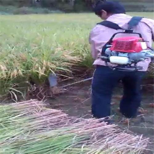 供应GX35四冲程背负式割草机 源厂直供实惠耐用