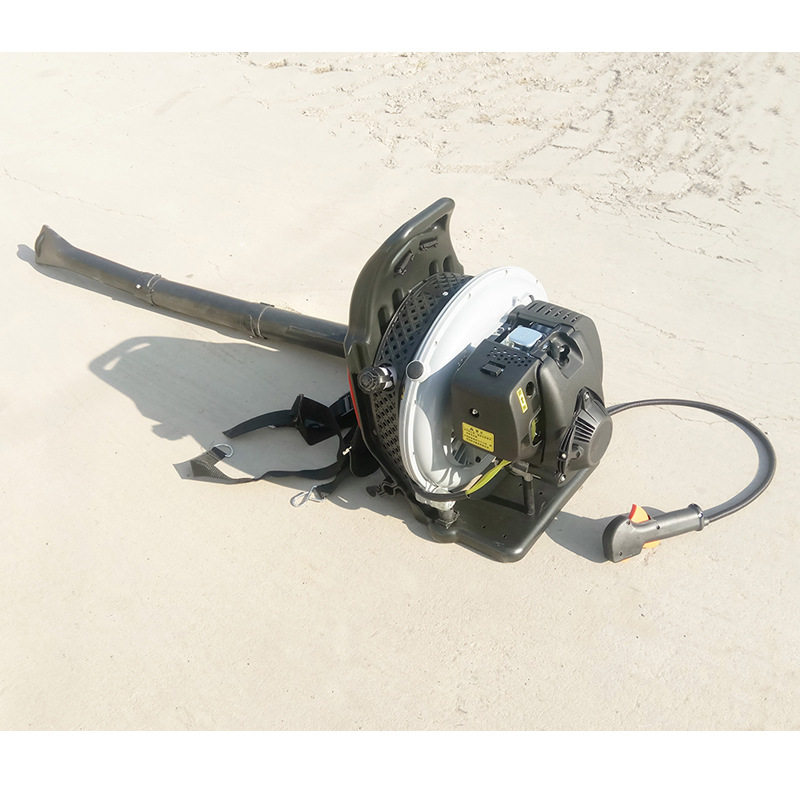 汽油吹雪机四冲程背负式道路养护森林防护灭火辅助脱水吹风机,清洗/食品/商业设备,其他清洗机,淘宝优惠券,粉丝福利购,淘宝优惠卷