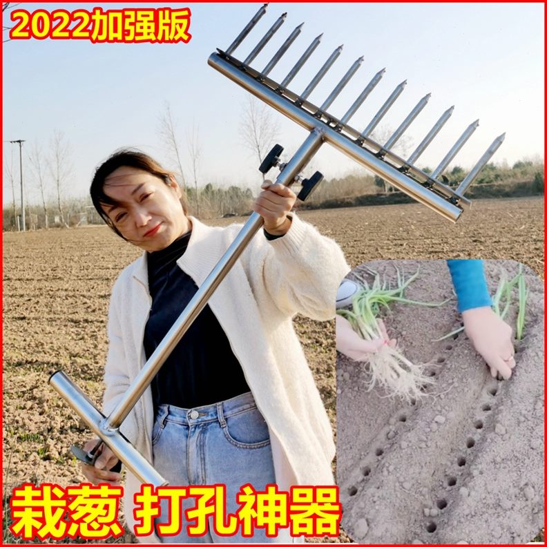 菜眼移机打孔器神器栽机器打洞苗打苗种葱种大葱叉子工具种植洋葱