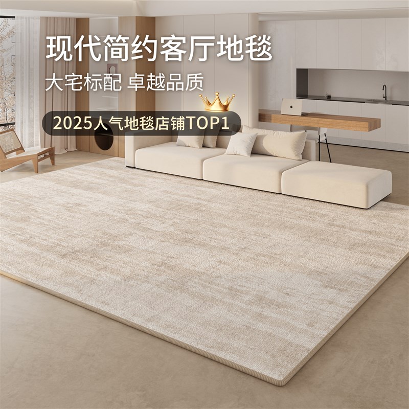 2025新款地毯客厅现代简约免A洗可擦防水防污沙发高级卧室床边毯