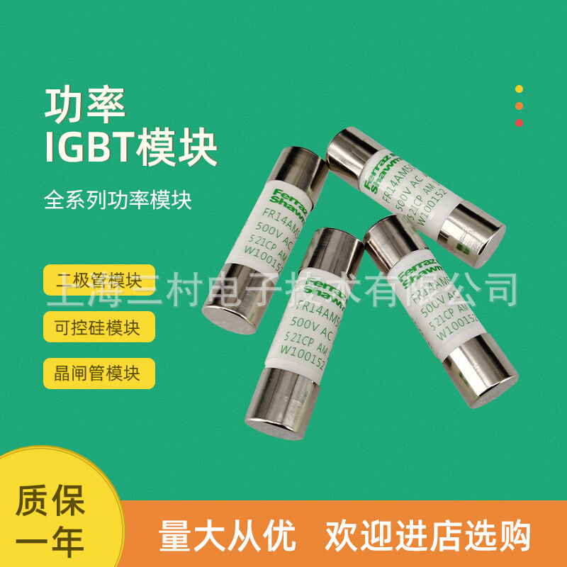 全新熔断器保险丝FR22GR69V50TC1018626全新电子元器件保护器