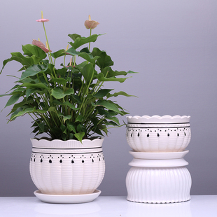 包邮 多肉植物盆 桌面阳台简约个性 白色特大号陶瓷花盆m带托盘有孔