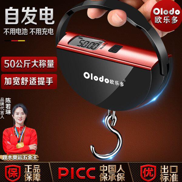 精准手提电子秤高精度勾称小型钓鱼吊称便携式快递称旅行随身小秤