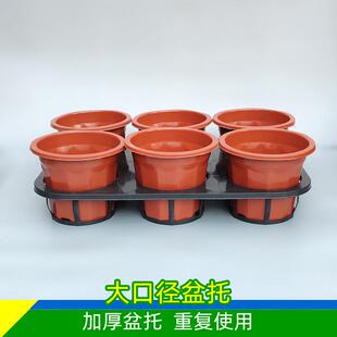 6孔大口径托盘托架加厚十二角盆苗杯托架托盘多肉盆托架育苗穴盘