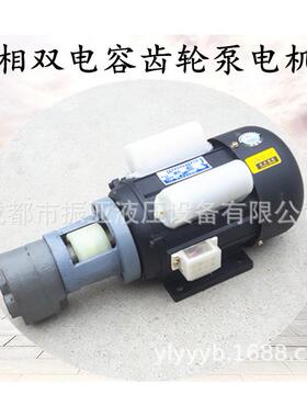 WBZ/CB-B16/B20/B25/B32JZ齿轮油泵电机组装置0.75/1.1/1.5/2.2KW