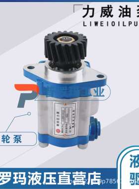 合肥力威QC18/13-A3000汽车油泵 天力转向助力泵 A3000-3407100