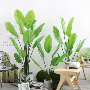 北欧大型仿真绿植假植物盆栽摆件旅人蕉落地天堂鸟室内装饰树客厅