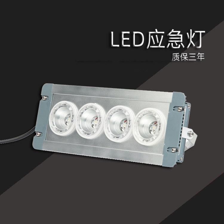 ZL8846-E 配电房应急低顶灯LED固态免维护事故应急照明灯GMD9124A