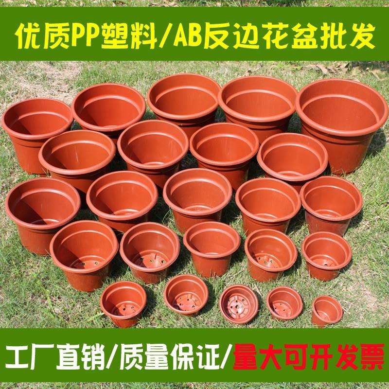 AB圆反边塑料花盆加厚基地种植盆育苗网底小花盆绿萝小号大号无托